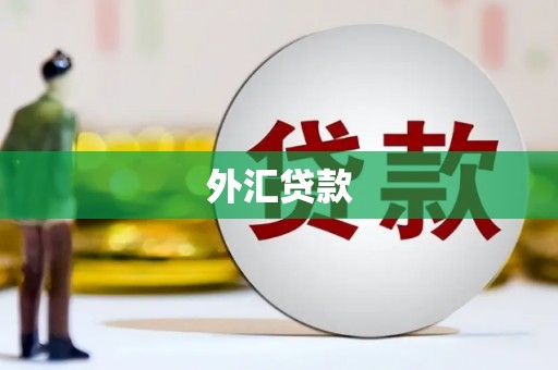 肇庆外汇贷款