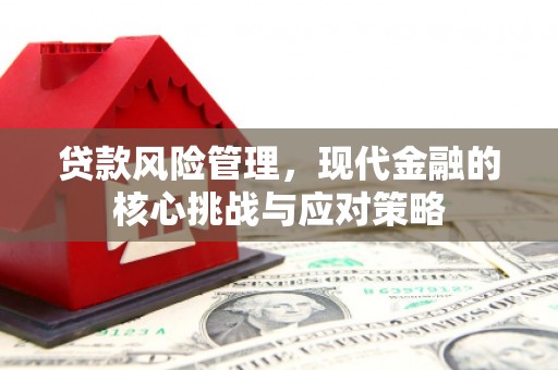 肇庆贷款风险管理，现代金融的核心挑战与应对策略