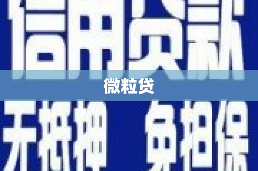肇庆微粒贷
