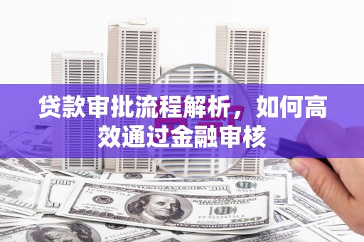 肇庆贷款审批流程解析，如何高效通过金融审核