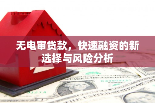肇庆无电审贷款，快速融资的新选择与风险分析