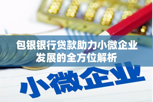 肇庆包银银行贷款助力小微企业发展的全方位解析