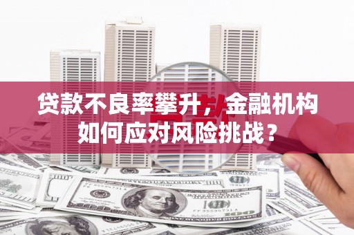 肇庆贷款不良率攀升，金融机构如何应对风险挑战？