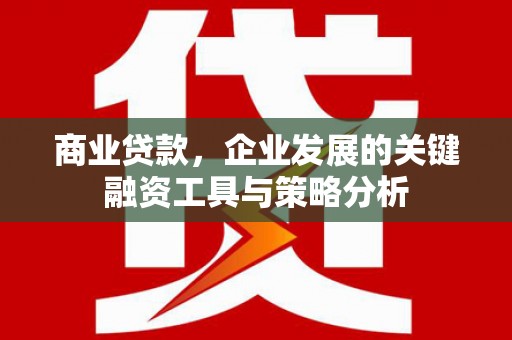 肇庆商业贷款，企业发展的关键融资工具与策略分析