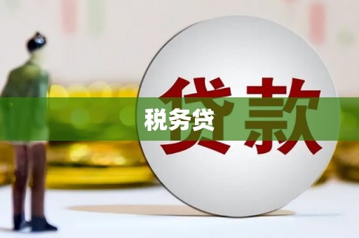 肇庆税务贷