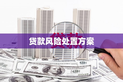 肇庆贷款风险处置方案