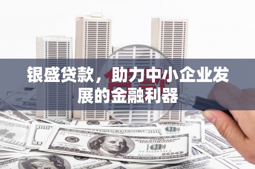 肇庆银盛贷款，助力中小企业发展的金融利器