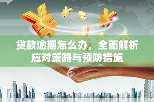 肇庆贷款逾期怎么办，全面解析应对策略与预防措施