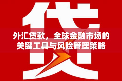 肇庆外汇贷款，全球金融市场的关键工具与风险管理策略