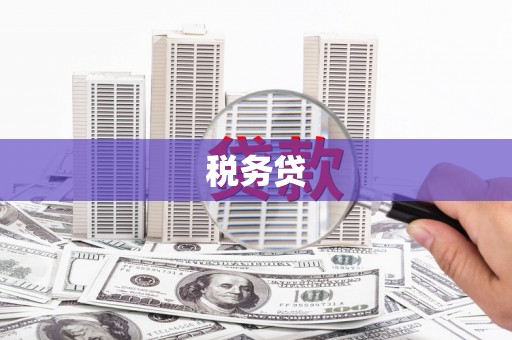 肇庆税务贷