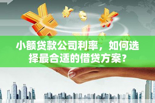 肇庆小额贷款公司利率，如何选择最合适的借贷方案？
