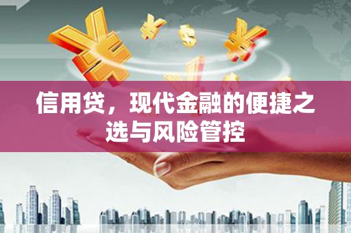 肇庆信用贷，现代金融的便捷之选与风险管控
