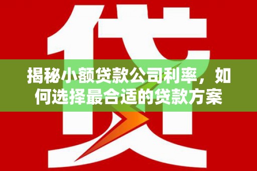肇庆揭秘小额贷款公司利率，如何选择最合适的贷款方案