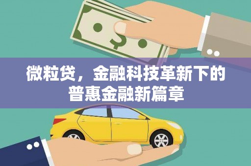 肇庆微粒贷，金融科技革新下的普惠金融新篇章