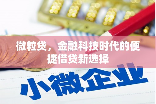 肇庆微粒贷，金融科技时代的便捷借贷新选择