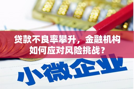 肇庆贷款不良率攀升，金融机构如何应对风险挑战？