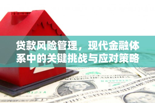 肇庆贷款风险管理，现代金融体系中的关键挑战与应对策略