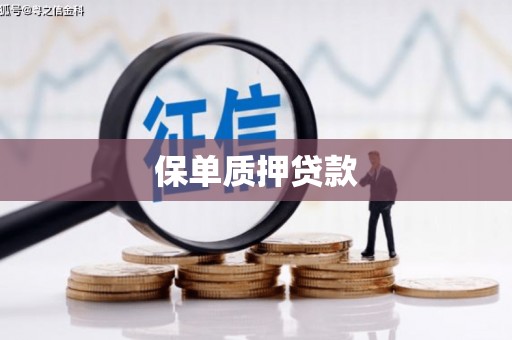 肇庆保单质押贷款