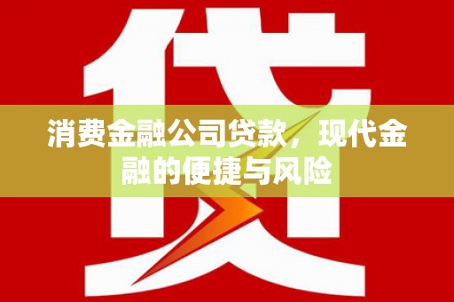 肇庆消费金融公司贷款，现代金融的便捷与风险