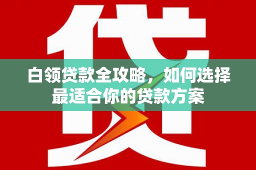 肇庆白领贷款全攻略，如何选择最适合你的贷款方案